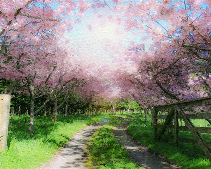 w ogrodzie w parku - blossom-walk-spring-watercolor.jpg