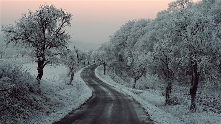 TAPETY - winter-road-snow-frozen-trees-on-sides-5k-27-5120x2880.jpg