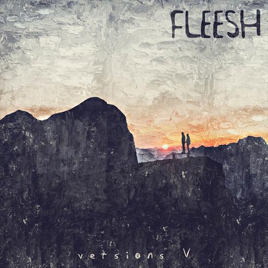Fleesh - Versions V 2024 - cover.jpg